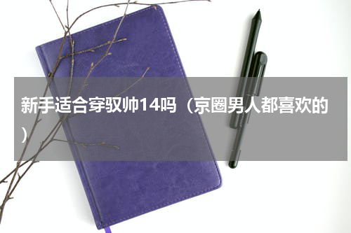 新手适合穿驭帅14吗（京圈男人都喜欢的）