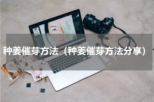 种姜催芽方法（种姜催芽方法分享）