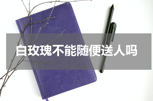 白玫瑰不能随便送人吗