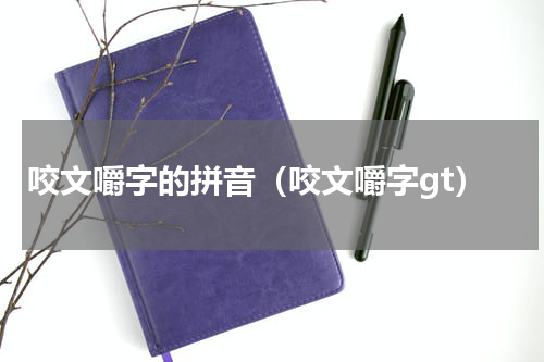 咬文嚼字的拼音（咬文嚼字gt）