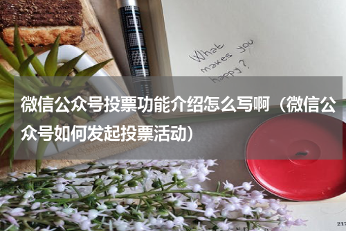 微信公众号投票功能介绍怎么写啊（微信公众号如何发起投票活动）