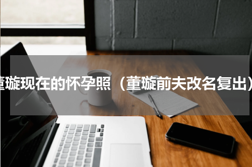 董璇现在的怀孕照（董璇前夫改名复出）