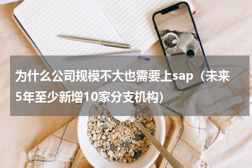 为什么公司规模不大也需要上sap（未来5年至少新增10家分支机构）