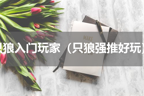 只狼入门玩家（只狼强推好玩）