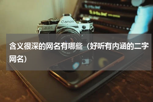 含义很深的网名有哪些（好听有内涵的二字网名）
