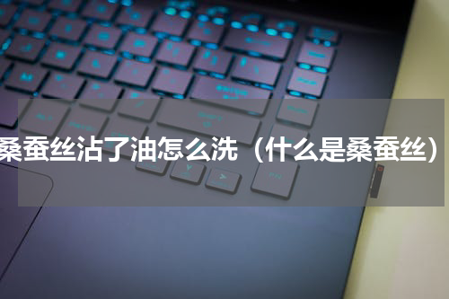 桑蚕丝沾了油怎么洗（什么是桑蚕丝）