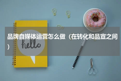 品牌自媒体运营怎么做（在转化和品宣之间）