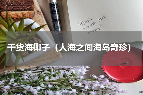 干货海椰子（人海之间海岛奇珍）
