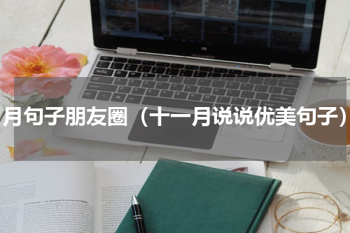 11月句子朋友圈（十一月说说优美句子）