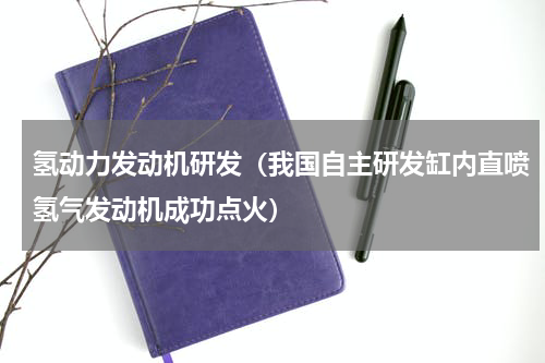 氢动力发动机研发（我国自主研发缸内直喷氢气发动机成功点火）