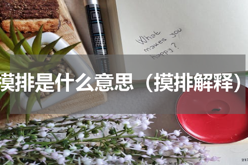 摸排是什么意思（摸排解释）