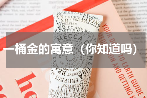 一桶金的寓意（你知道吗）