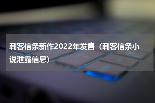 刺客信条新作2022年发售（刺客信条小说泄露信息）