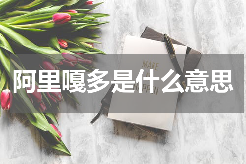 阿里嘎多是什么意思