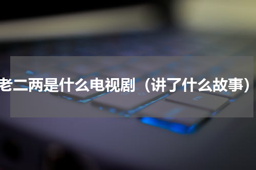 老二两是什么电视剧（讲了什么故事）