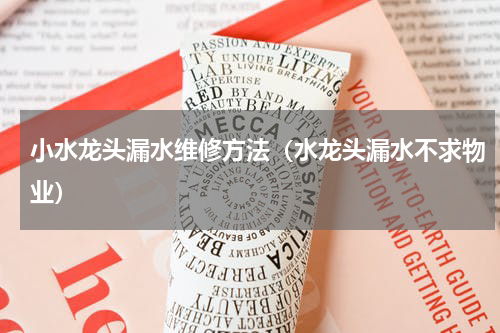 小水龙头漏水维修方法（水龙头漏水不求物业）