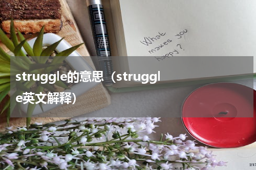 struggle的意思（struggle英文解释）