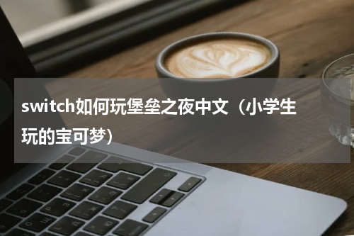 switch如何玩堡垒之夜中文（小学生玩的宝可梦）