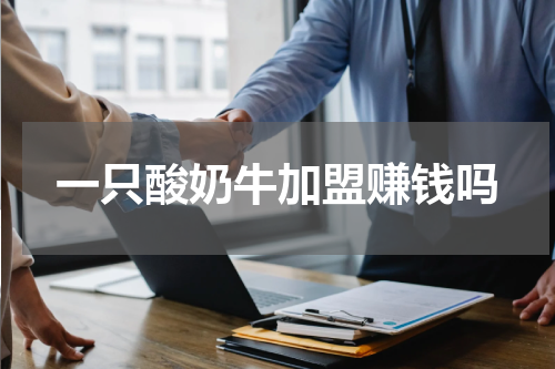一只酸奶牛加盟赚钱吗