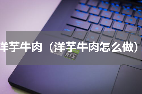 洋芋牛肉（洋芋牛肉怎么做）
