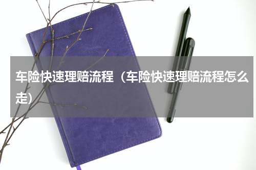 车险快速理赔流程（车险快速理赔流程怎么走）