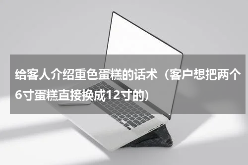 给客人介绍重色蛋糕的话术（客户想把两个6寸蛋糕直接换成12寸的）