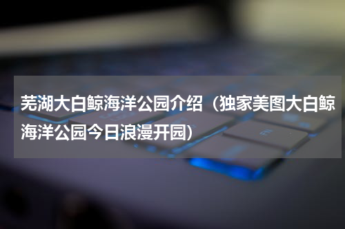 芜湖大白鲸海洋公园介绍（独家美图大白鲸海洋公园今日浪漫开园）
