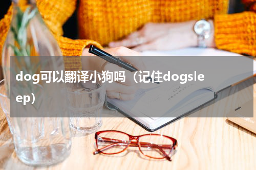 dog可以翻译小狗吗（记住dogsleep）