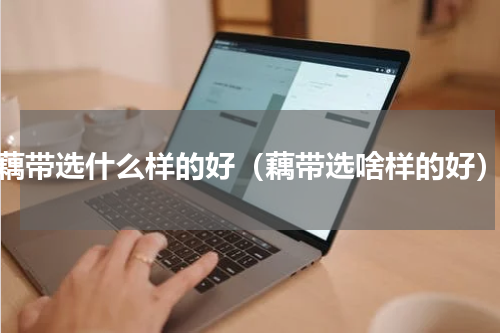 藕带选什么样的好（藕带选啥样的好）