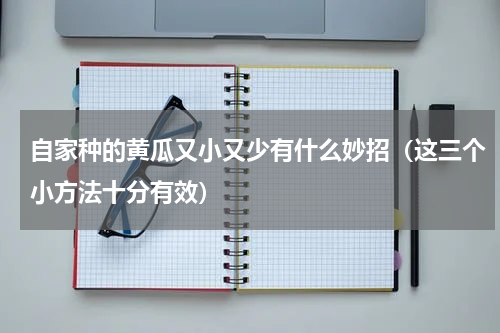 自家种的黄瓜又小又少有什么妙招（这三个小方法十分有效）