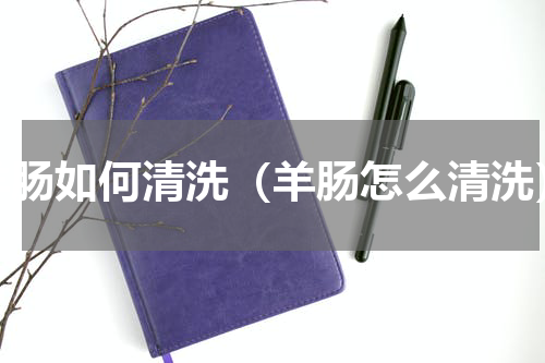 羊肠如何清洗（羊肠怎么清洗）