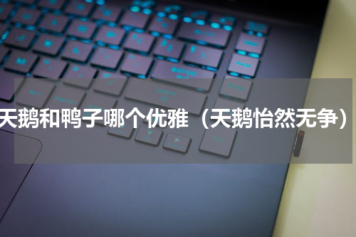 天鹅和鸭子哪个优雅（天鹅怡然无争）