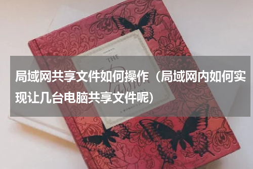 局域网共享文件如何操作（局域网内如何实现让几台电脑共享文件呢）