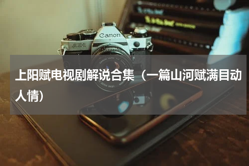 上阳赋电视剧解说合集（一篇山河赋满目动人情）