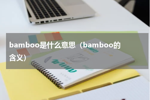 bamboo是什么意思（bamboo的含义）
