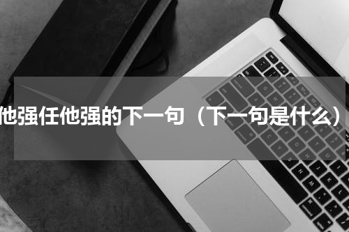 他强任他强的下一句（下一句是什么）