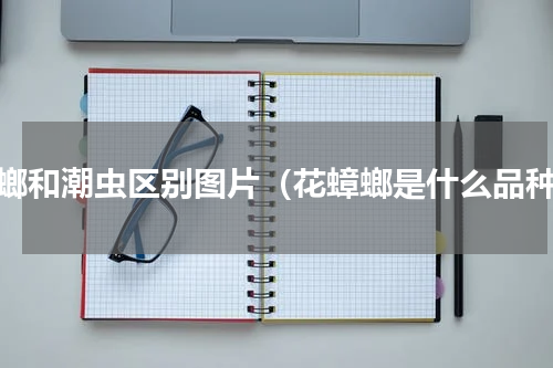 蟑螂和潮虫区别图片（花蟑螂是什么品种）