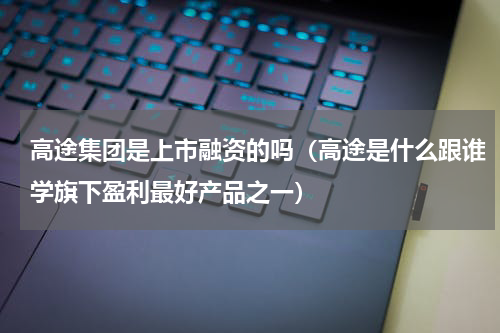 高途集团是上市融资的吗（高途是什么跟谁学旗下盈利最好产品之一）