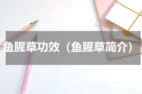 鱼腥草功效（鱼腥草简介）