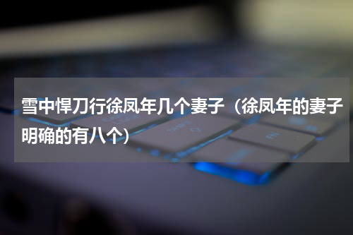 雪中悍刀行徐凤年几个妻子（徐凤年的妻子明确的有八个）