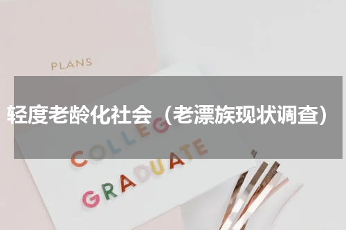 轻度老龄化社会（老漂族现状调查）