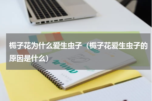 栀子花为什么爱生虫子（栀子花爱生虫子的原因是什么）