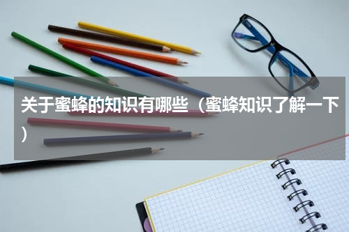 关于蜜蜂的知识有哪些（蜜蜂知识了解一下）