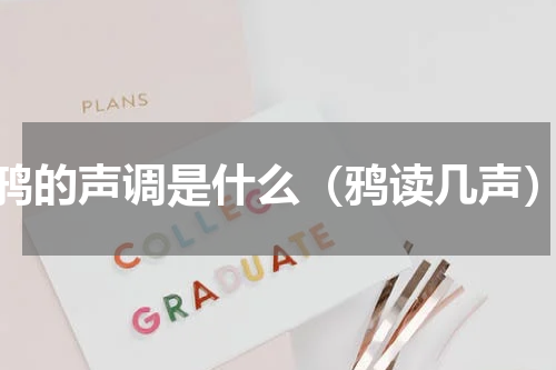 鸦的声调是什么（鸦读几声）