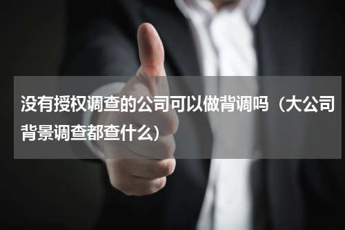 没有授权调查的公司可以做背调吗（大公司背景调查都查什么）