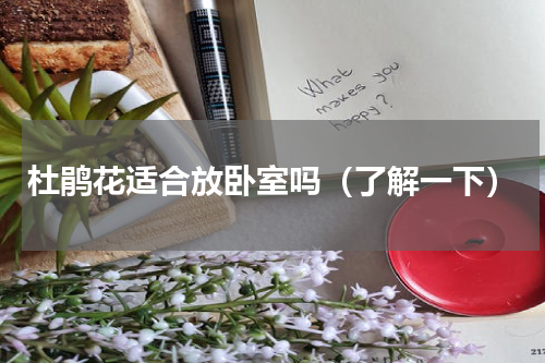 杜鹃花适合放卧室吗（了解一下）