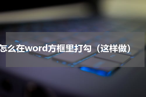 怎么在word方框里打勾（这样做）