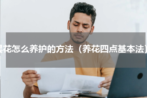 昙花怎么养护的方法（养花四点基本法）