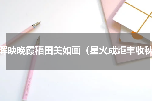 余晖映晚霞稻田美如画（星火成炬丰收秋）