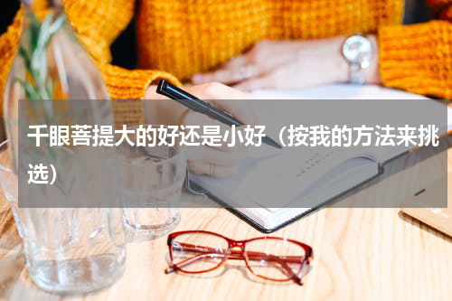 千眼菩提大的好还是小好（按我的方法来挑选）